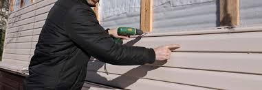 Best Steel Siding Installation  in Wallace, ID